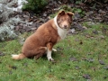 Fynn mit Querschnittslähmung